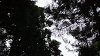 camp26 (332)_thumb.png